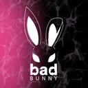    • . BAD BUNNY CHILL . •    Discord Server Icon