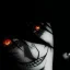 Flaryverse