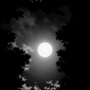 Roblox Trading Server avatar