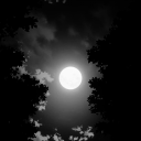 Roblox Trading Server icon
