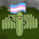 🥒🌈The Pickle Army 🌈🥒
