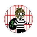 Central Bank Bandit