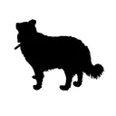 LHWs_smol_server
