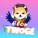 Elon Twoge Coin