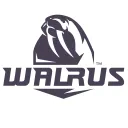 Walrus Game Studio