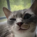 EMMA Club Discord Server Icon