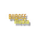 BurgeeMedia Depreciated