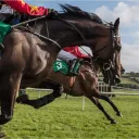 Trading The Races