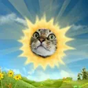 The Sunniest corner