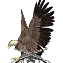 Blaine county syndicate