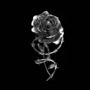 𝐶 & 𝐿 𝑆𝑡𝑢𝑑𝑖𝑜𝑠 Discord Server Icon