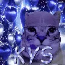 Just some silly people Discord Server Icon