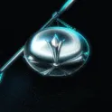 Balanced (Revival)
