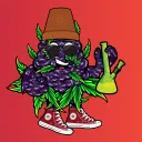 Cardano Buds Dispo's server