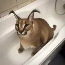 Simple Server's icon