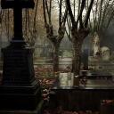 selfshipping cemetery    彡 Discord Server Icon