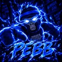 Pebbs Basement