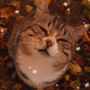 Discovery icon for 🤍 Cutie 18+ | SFW．Gaming．Cato Tag 🍂 Discord server