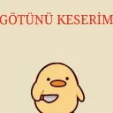 Poncikler Icon