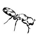 Cold Blooded Creaturae Server Discord Server Icon