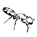 Cold Blooded Creaturae Server Discord Server Icon