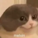 Melvin's Most Trusted