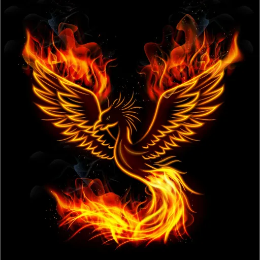 PHOENIX — мониторинг Discord сервера, статистика и рейтинг