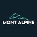 MONT ALPINE - DIGITAL BANK Discord Server Icon