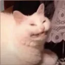 Dark council - plague doctor cult server