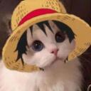 comunidad de gatitos Discord Server Icon
