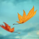 The Leaf Club