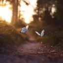 The Cosmic Crow's Nest Discord Server Icon