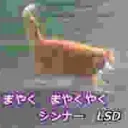 ちくわ部　Chikuwa club