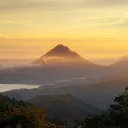 Feministicoverview Discord Server Icon