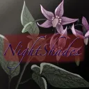 NightShades discord icon