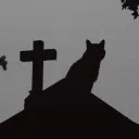 /nihil