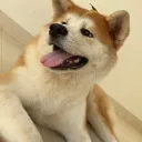 Bahianofobia Discord server icon