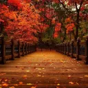 Mental Hospital's icon