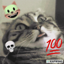 Discovery icon for Meowhecker's Clan Discord server