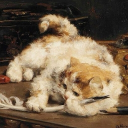 Discovery icon for Império dos Gatos Discord server