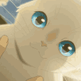 Mundo dos Gatos ୨୧