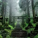 Ikigais Forest