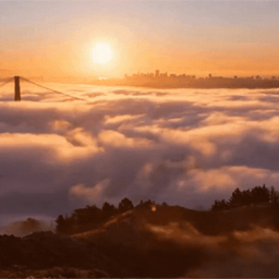 Discovery icon for DON'T KNOW ™ Discord server