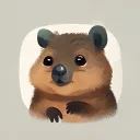 Quokka-ai