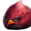 Da biggest bird Server Icon
