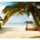 Playa's Paradise