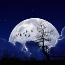 Midnight Moon Server Icon