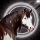 𝐒𝐭𝐞𝐞𝐥 𝐃𝐨𝐯𝐞𝐬 𝐎𝐒