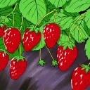 Berry's 🍓