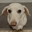 𝒻𝒻𝓇ℯ𝒶𝓀𝓎 𝓈𝓅𝒶𝒸ℯ❤ Discord server icon